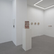 Xuejing Wang, Antifragile, exhibition view. Courtesy of Galerie Russi Klenner