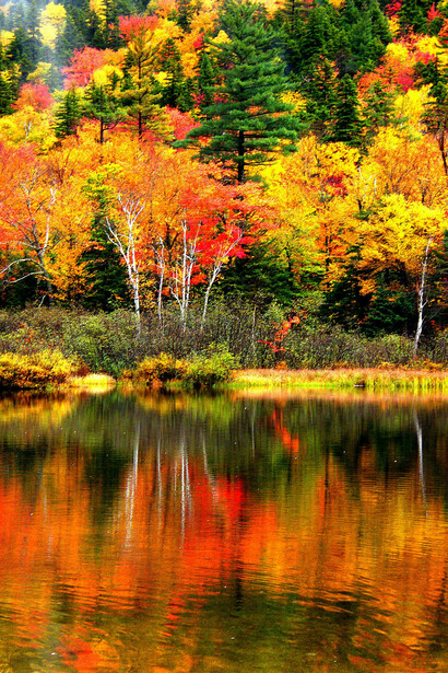 New Hampshire Colors © Stanley Zimny 