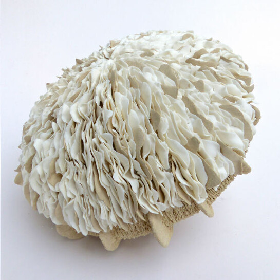 Ellen van der Woude. Courtesy of Galerie Schortgen