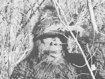 Delve into the mysterious realm of Bigfoot and Sasquatch amidst the dense woods and forest