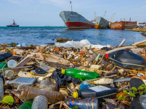 Inquinamento delle spiagge