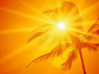 El sol tras una palmera