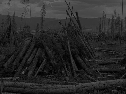 Logging in Frisco, Colorado, USA - destruction of the forests