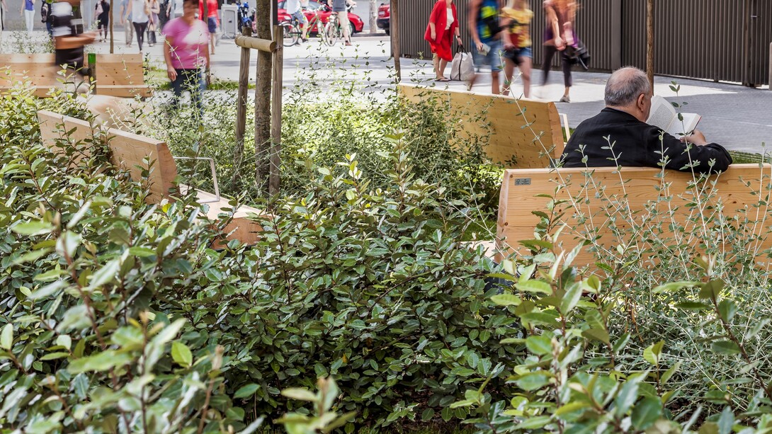 Un hombre lee un libro en una de las zonas ajardinadas del Passeig de Sant Joan de Barcelona. Foto: Adrià Goula