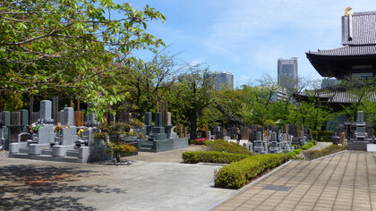 Cementerio de Aoyama, Tokio, Japón. Fotografía: Felipe Sérvulo