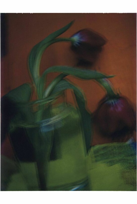 Sarah Moon, Les tulipes, 2003, © Sarah Moon courtesy Michael Hoppen Gallery