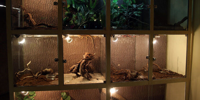 Terarium. Courtesy of Regional Natural History Museum of Plovdiv