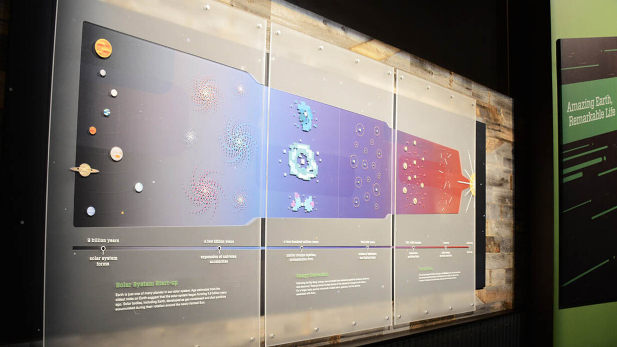 Foundations. Courtesy of Royal Tyrrell Museum