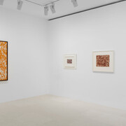 Lee Krasner, Works from the 1960s, exhibition view. Courtesy of Gagosian Gallery
