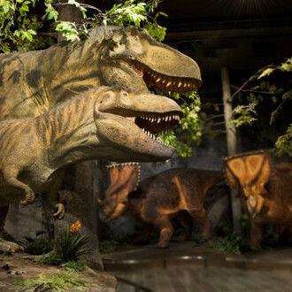 Fossil Gallery. Courtesy Canadian Museum of Nature