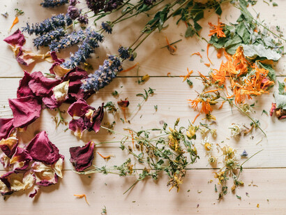 Medicinal herbs were not just about health: they were tools of survival, cultural continuity, resistance, and community strength in the face of slavery