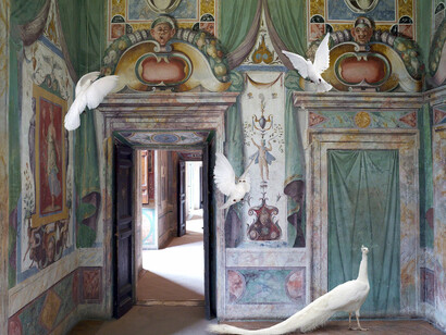 Karen Knorr. Courtesy of Jackson Fine Art