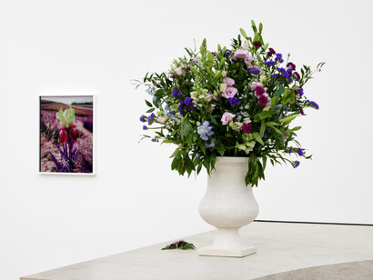 Lisa Oppenheim, ausstellungsansicht. Mit freundlicher genehmigung von Mudam