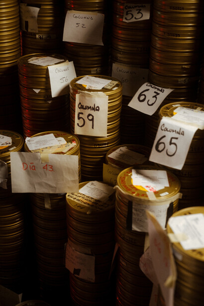 Sueño perro: a film installation by Alejandro G. Iñárritu (work in progress still). Courtesy of Los Angeles County Museum of Art. Photo by Karol Pruzinsky