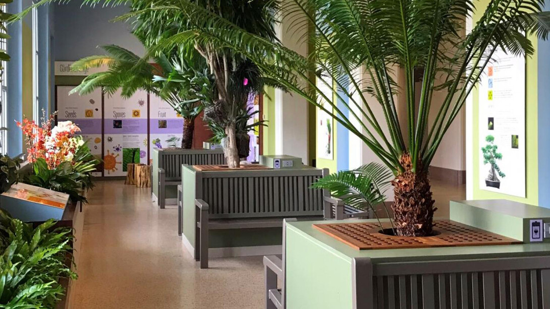 The Garden Lounge. Courtesy of Smithsonian's National Museum of Natural History