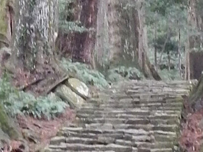 Volver sobre los pasos y comprobar que cada día ha sido un pequeño peregrinaje; asegurarse de que la realidad es un tránsito que no sabemos muy bien a dónde nos lleva. Lugares sagrados y rutas de peregrinación en la cordillera de Kii, Kumano Kodo, Japón