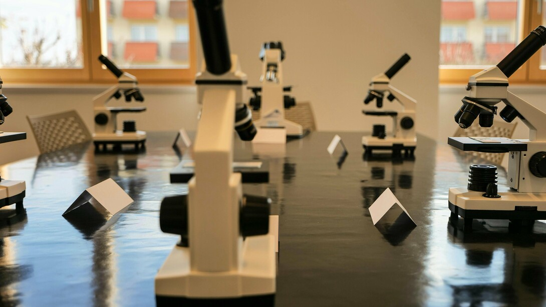 Laboratório de pesquisa. Uma reflexão sobre o papel das universidades brasileiras no progresso científico e tecnológico, as dificuldades enfrentadas pelos pesquisadores e a importância de dominar outros idiomas na ciência