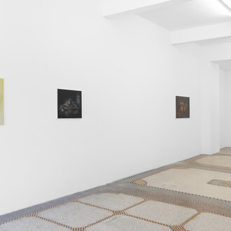 Monika Stricker, Les rêveries du promeneur solitaire, exhibition view. Courtesy of Dépendance