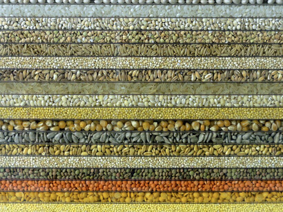 Loris Cecchini, The polychromeseedsessions (collection 1), 2015, Semi naturali incapsulati in policarbonato alveolare protetto UV, legno e cornice metallica, 151 x 201 x 5 cm