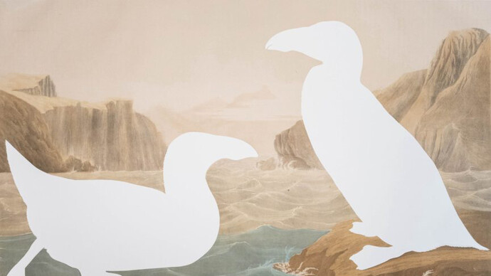 Brandon Ballengée, RIP Great Auk: After John James Audubon, 1858/2023, artist cut and burnt Bien edition chromolithograph, ashes, and etched funerary urn, 35 x 47.5 in. Courtesy of Jennifer Baahng Gallery