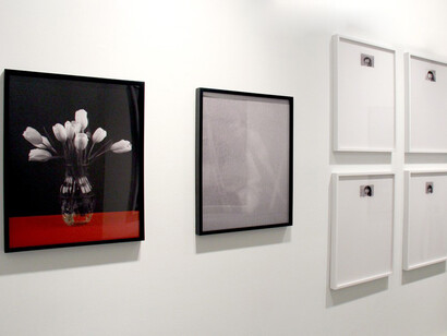 Pacifico Silano, Installation image