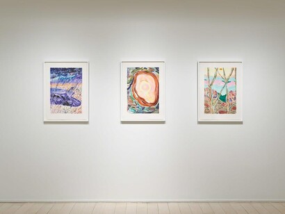 Shara Hughes. Courtesy of Pace Prints