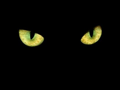 Cada foto me hundía esos ojos con pupilas de raya