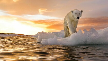 It will occur by 2026 a projected 10 degree Celsius increase in global temperatures