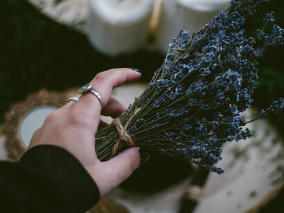 Streghe ed erbe  curative. Le streghe di Benevento usavano erbe medicamentose per creare analgesici, calmanti o digestivi