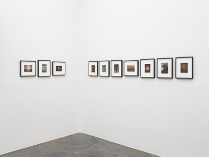 Anastasiya Tarasenko, Primordial soup, exhibition view. Courtesy of Anna Zorina Gallery 