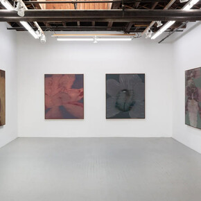 Heath Wae, Mineral meridian, exhibition view. Courtesy of Carvalho Park
