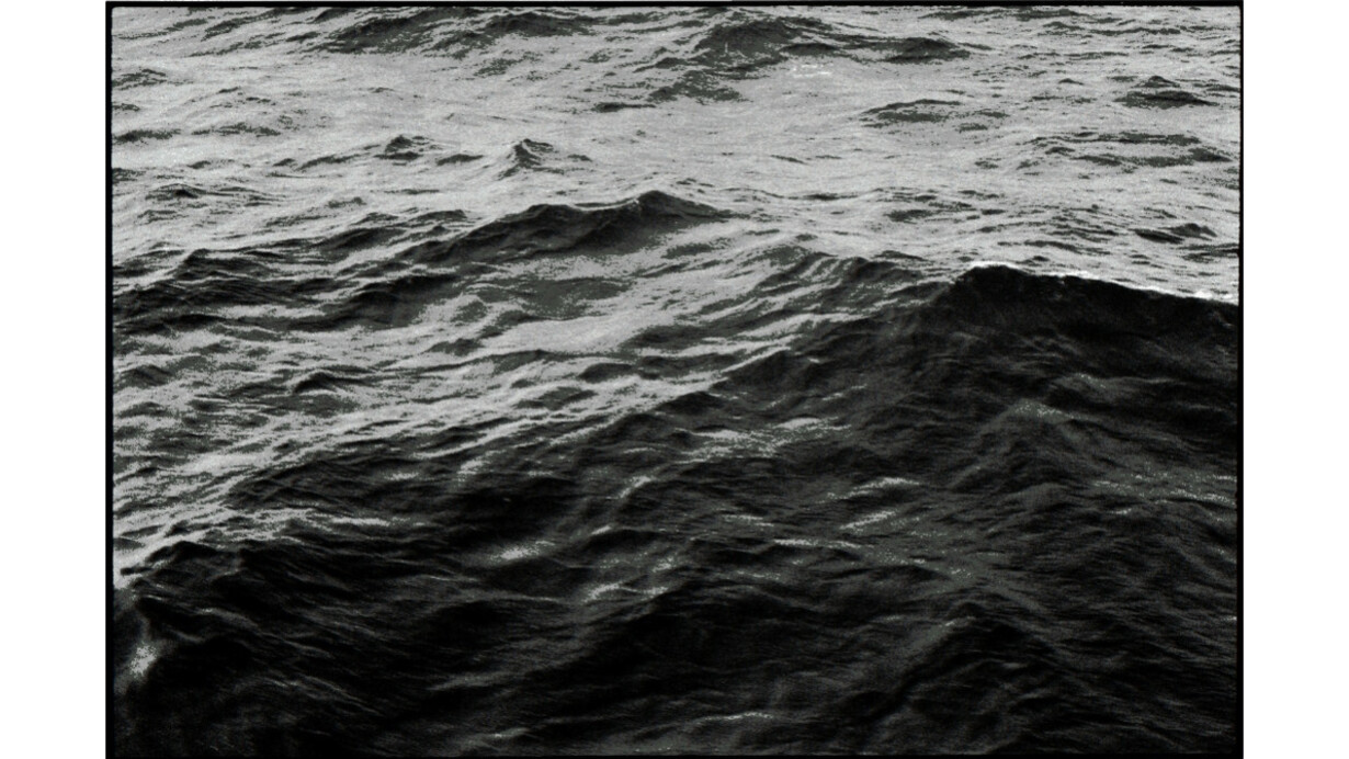 Zoe Leonard: Survey. Courtesy of MOCA