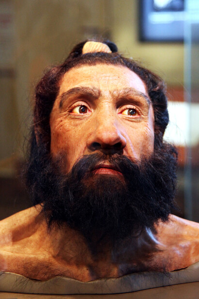 John Gurche. Reconstrucción de la cabeza de un Homo neanderthalensis macho adulto - modelo de la cabeza. Museo Smithsonian de Historia Natural. Foto: Tim Evanson