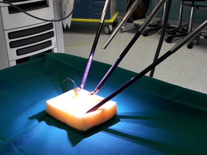 Le tubiformi braccia del robot