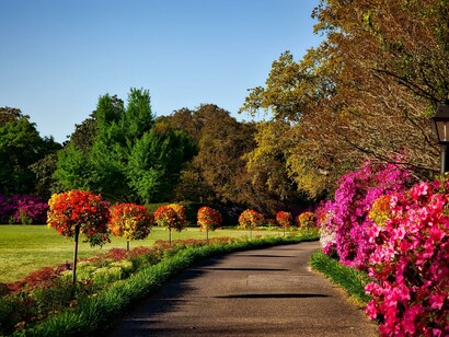 A path in the park. The passing of time, seeing traces of the past, being sorry for my drug use