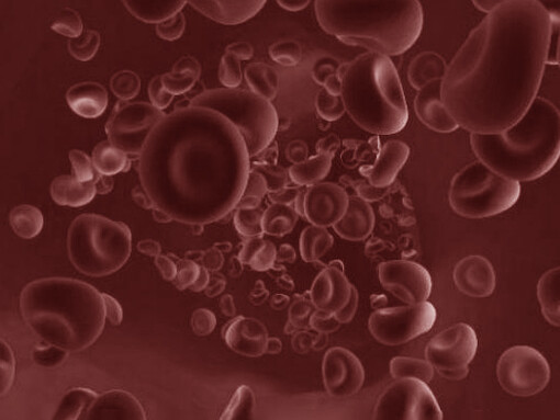 L’anemia è la più comune patologia ematologica 