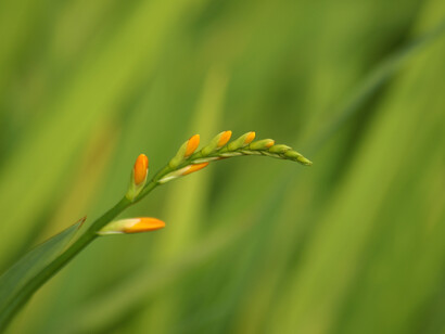 Natura e semplicità