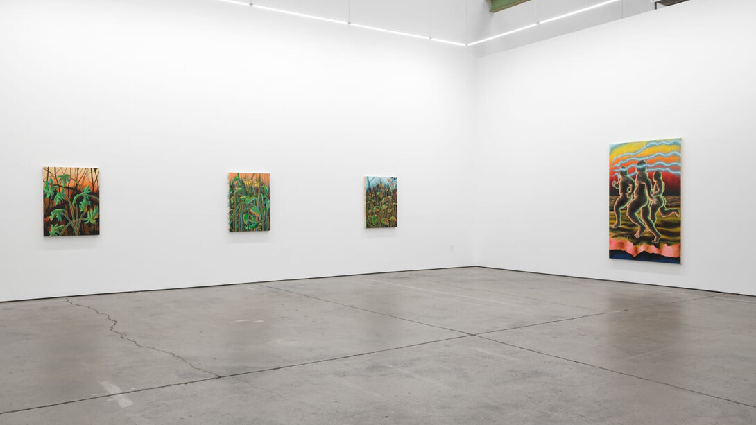 Didier William, Beyond the bodies' edge, exhibition view. Courtesy of Altman Siegel