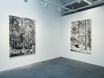 Glass Summers. Courtesy of Eleanor Harwood Gallery