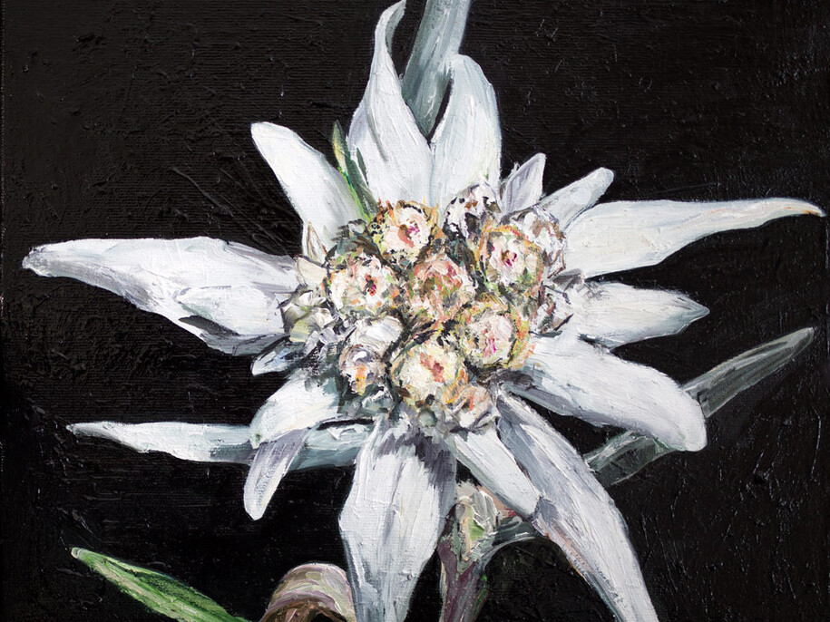 Mathieu Boisadan, Courage II, 2015, Huile sur toile, 25 x 35 cm