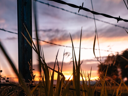 Il Cinema dei Diritti Umani come antidoto alla fine della politica