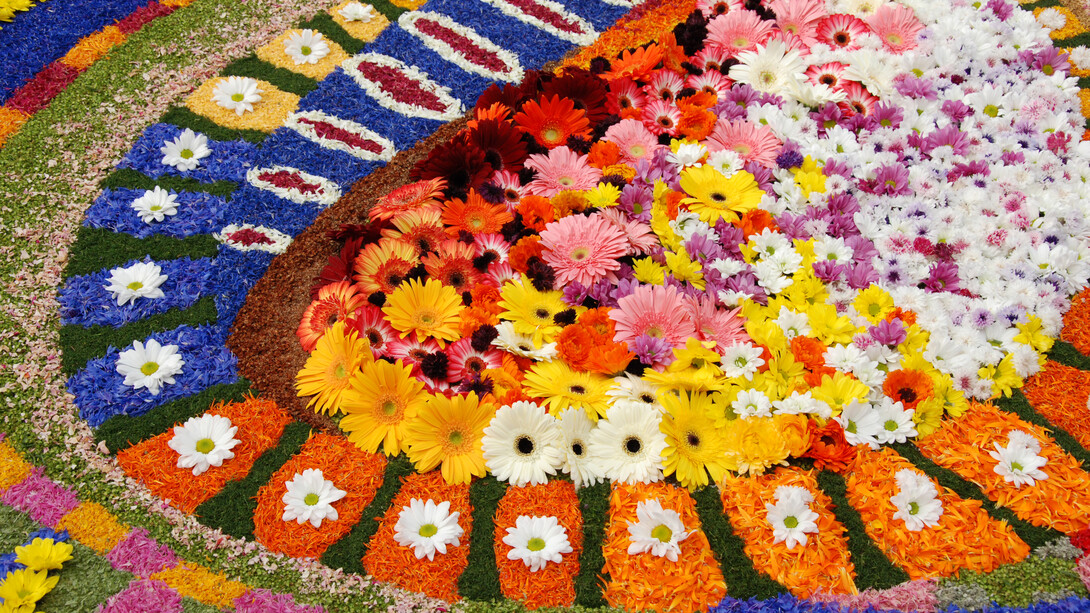 L'Infiorata di Spello