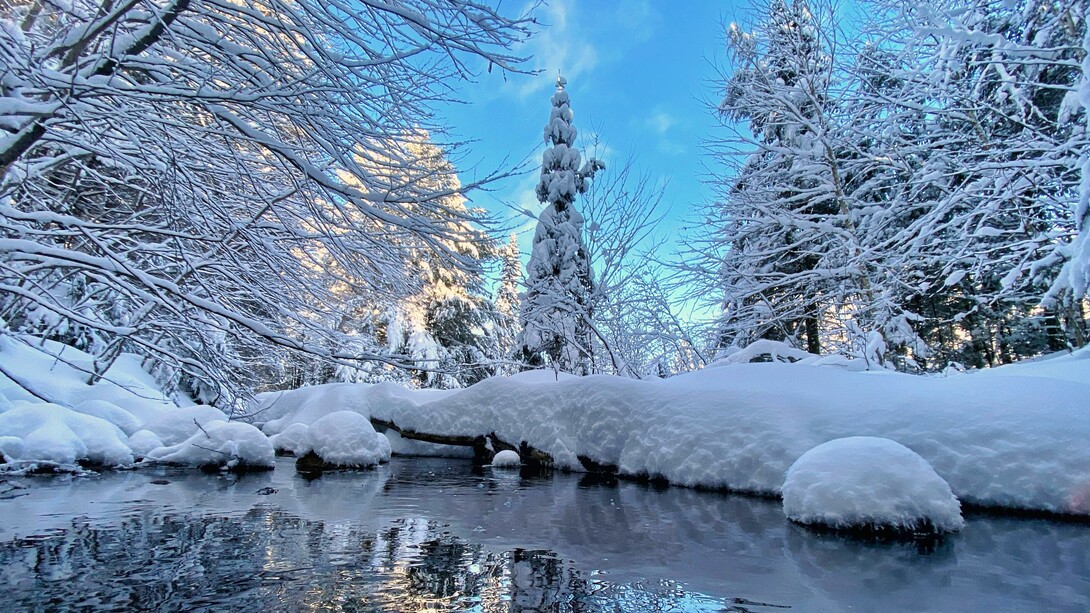 Il solstizio d'inverno segna l'inizio dell'inverno ma ci porta verso la primavera