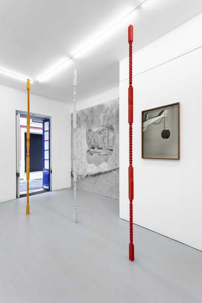 Joanna Piotrowska. Courtesy of Galeria Madragoa