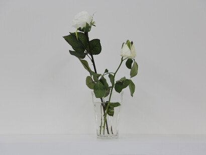 Stéphanie Saadé, Faux-Jumeaux, 2014, rose blanche naturelle, rose blanche artificielle, vaset, 15 x 30 cm, courtesy the artist & galerie anne barrault