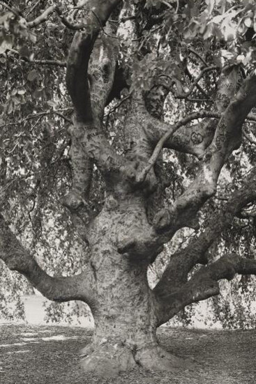 With the Help of Friends. Courtesy of Amon Carter Museum of American Art