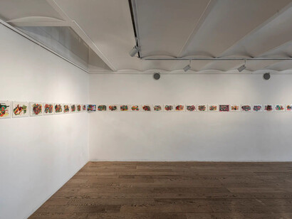 Diego Miccige, Invocaciones, maneras de consagrar el paisaje, vista de exhibición. Cortesía de la Galería Praxis