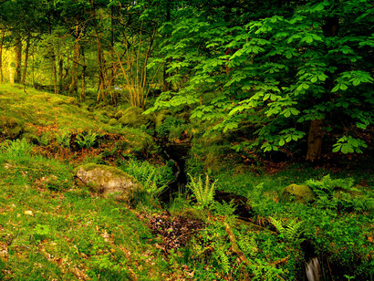 The air is clear and crisp, touched by the rain and time, photographed by Ray Bilcliff 