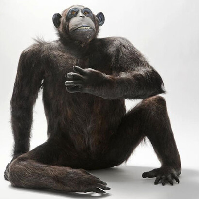 Exhibition Nano- and Biotechnology. Courtesy of Deutsches Museum