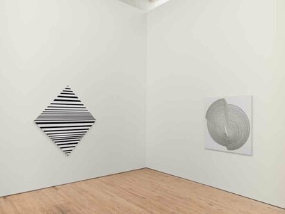Bridget Riley, exhibition view. Courtesy of Dia:Beacon